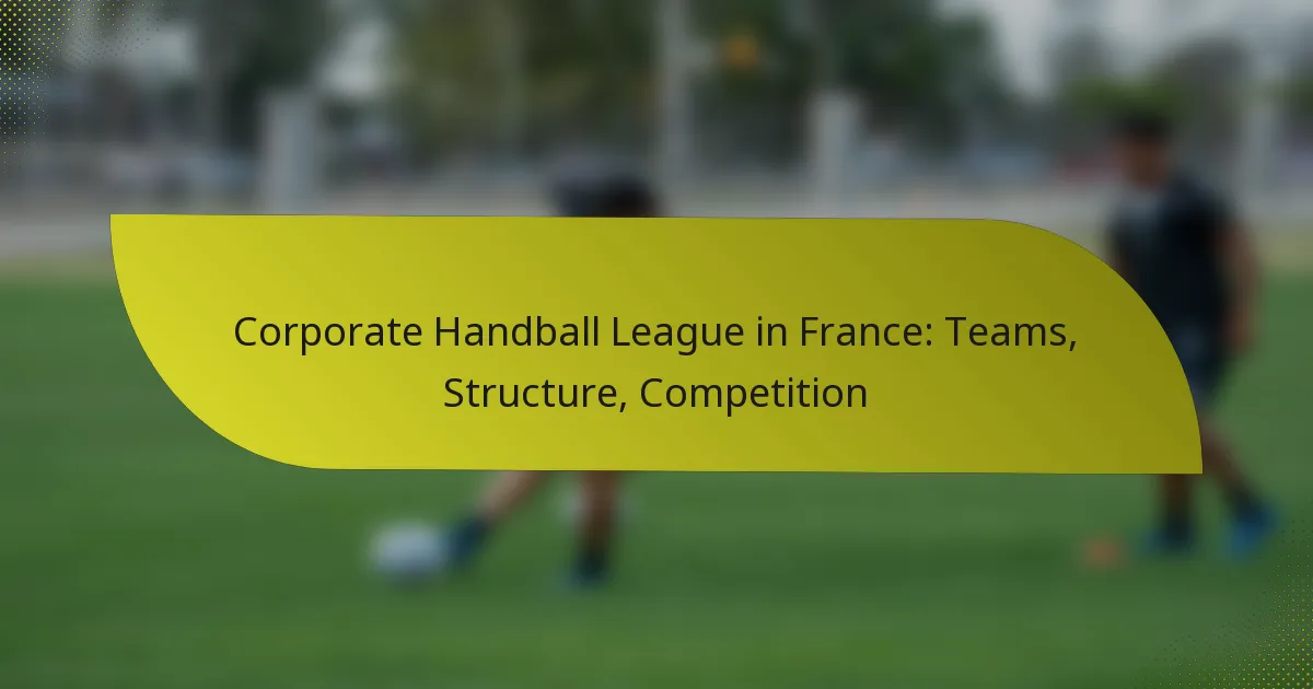 Corporate Handball League in France: Teams, Structure, Competition