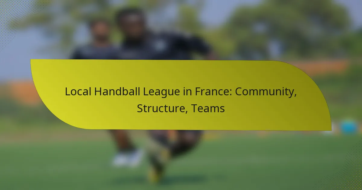 Local Handball League in France: Community, Structure, Teams