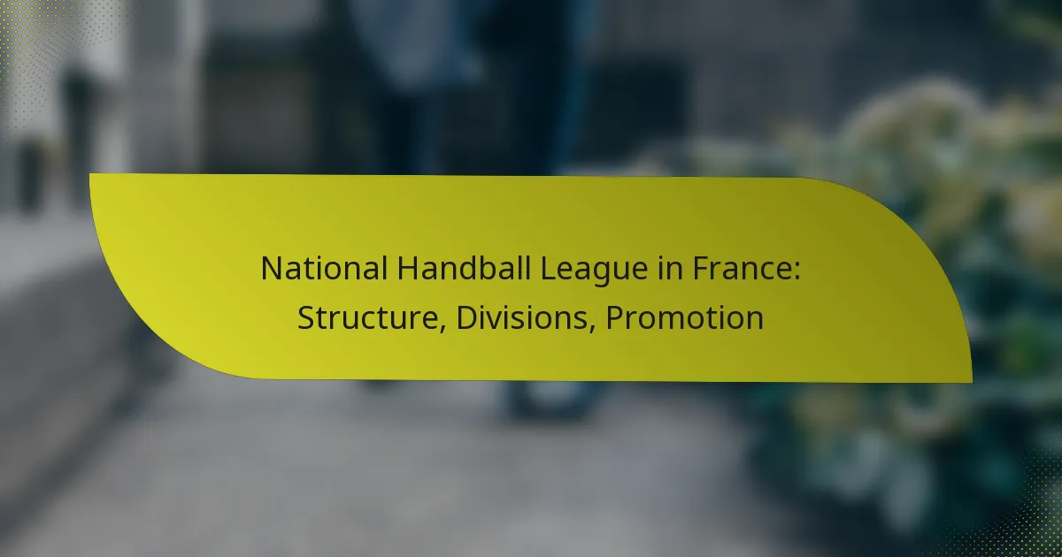 National Handball League in France: Structure, Divisions, Promotion