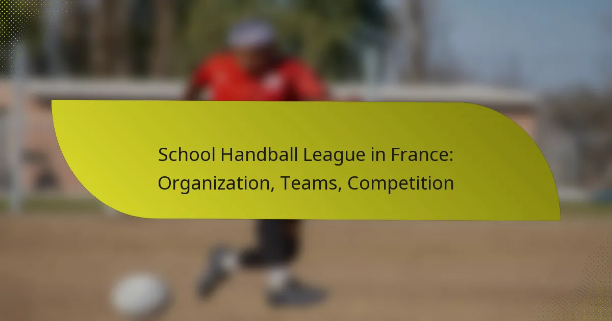 School Handball League in France: Organization, Teams, Competition