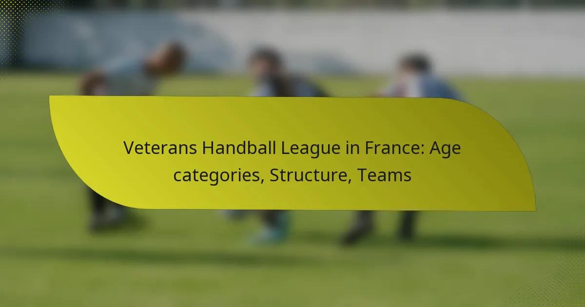 Veterans Handball League in France: Age categories, Structure, Teams