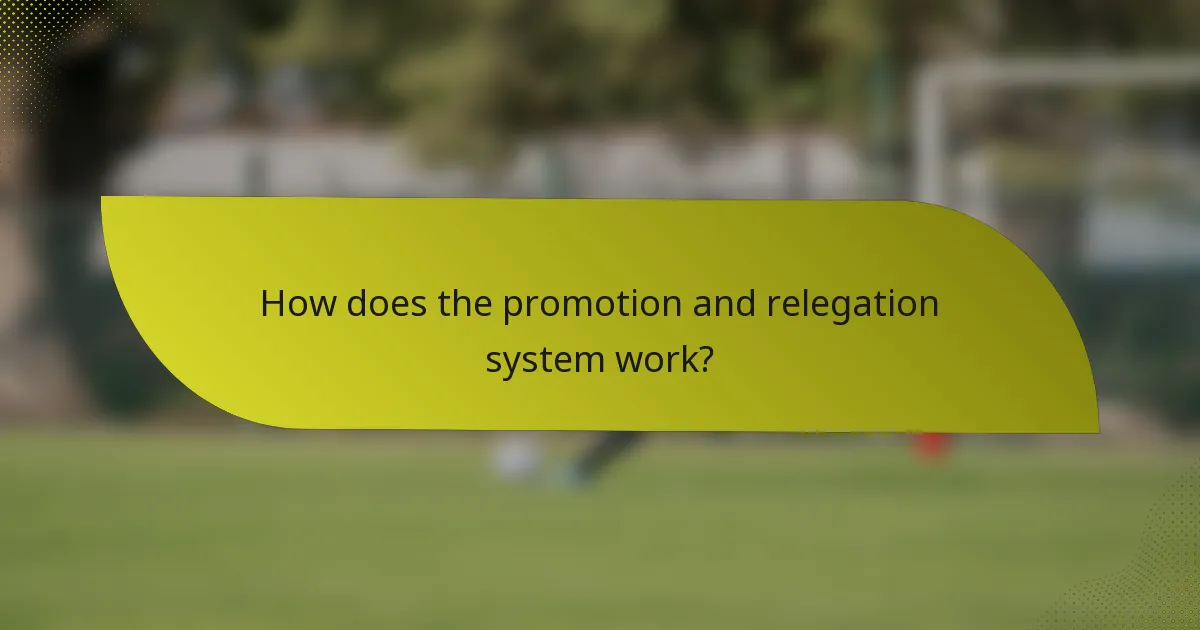 How does the promotion and relegation system work?