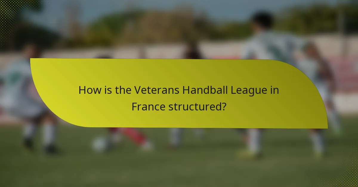 How is the Veterans Handball League in France structured?