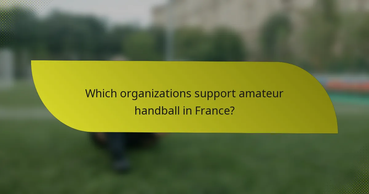 Which organizations support amateur handball in France?