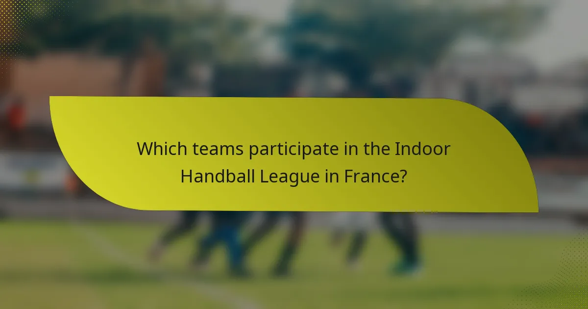 Which teams participate in the Indoor Handball League in France?