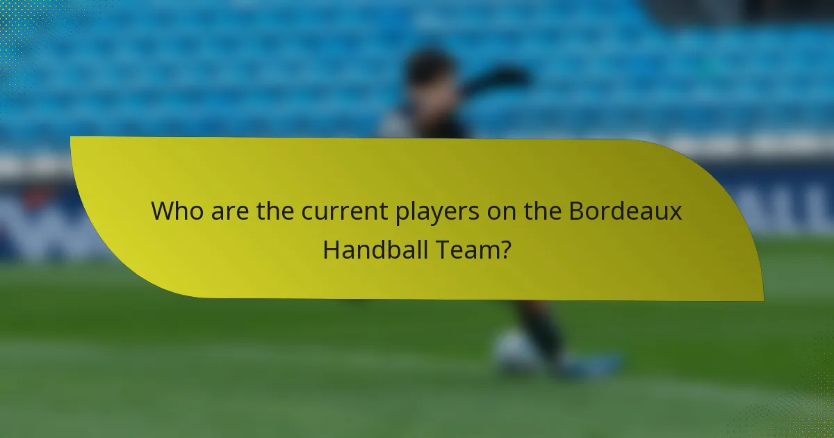 Who are the current players on the Bordeaux Handball Team?