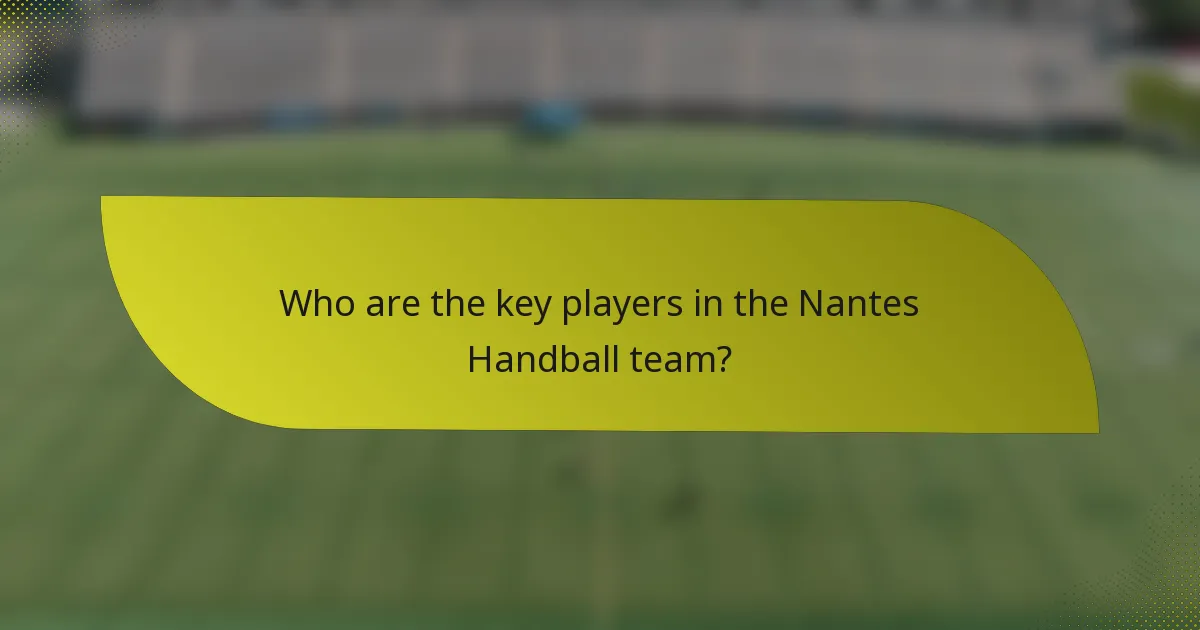 Who are the key players in the Nantes Handball team?